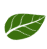 Bavorovská 699 list